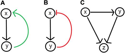Figure 2. Feedback and feedforward loops in biologic systems. (A) Positive feedback loops result when (x) leads to the production of (y), which up-regulates the level of (x). (B) Negative feedback loops result when (x) leads to the production of (y) which down-regulates the level of (x). (C) Feed-forward loops are often found in biochemical or genetic regulatory networks. An example involves a general (x) and a specific (y) gene activator. The general activator sends an activation signal to the target gene (z) and the specific activator (y). If the signal is sustained, (y) becomes activated, permitting it to reinforce an activation signal for (z), completing the gene activation process. Once the signal from (x) stops, (z) ceases to be activated. The 2-step activation process is ideal for noisy systems where random fluctuations in the signal from (x) are less likely to cause activation of the gene (z) because of the signaling delay via (y).