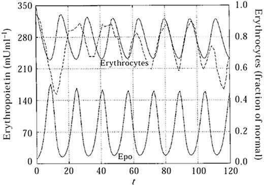 Figure 4. Cyclical hematopoiesis. A deterministic model for cyclic erythropoiesis was constructed from experimental data derived from a rabbit with auto-immune hemolytic anemia. The model describes periodic changes in Epo levels as a result of feedback loop with erythrocyte mass. The solid lines represent model predictions and the dashed line represents experimentally obtained erythrocyte counts. (Reprinted from Mahaffy et al73 with permission from Elsevier.)