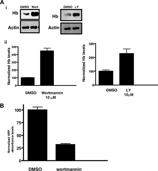 Figure 3. Hemoglobin accumulation in malaria parasites as result of PfPI3K inhibition. (A) Late ring stage parasites were incubated with DMSO (control), wortmannin, or LY294002 for approximately 5 hours. After releasing the parasite from the erythrocytes, parasite lysates were prepared and Western blotting performed using antihemoglobin antiserum or anti-actin antibody. (i) A representative Western blot from each experiment is shown. Actin was used as a loading control. (ii) The hemoglobin band intensity from Western blots performed on 3 independent experiments in which the parasite was treated with 10μM wortmannin or LY294002 was quantified by densitometry using Kodak 1D image analysis software and is represented by bar graphs. The intensity levels were normalized to the control set at 100, and comparisons were made. The error bars represent SEM. (B) Erythrocytes were preloaded with HRP, infected with parasites, and treated with 10μM wortmannin for 14 hours. After releasing parasites from infected erythrocytes by saponin treatment, HRP levels associated with parasites were determined with a colorimetric enzyme assay. Absorbance values were normalized to the solvent controls set at 100. Error bars represent SEM.