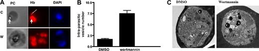 Figure 4. The effect of PfPI3K inhibition on hemoglobin trafficking. (A) Parasites were treated with DMSO or wortmannin. Saponin treatment was used to release excess nonparasitic hemoglobin, followed by attachment of parasites onto poly-lysine-coated glass cover slips. After fixation in paraformaldehyde/glutaraldehyde and Triton X-100 permeabilization, IFA was performed using anti-hemoglobin antibody, and 4,6-diamidino-2-phenylindole was used to stain the parasite nucleus. A single erythrocyte-free parasite can be seen in each phase-contrast image (PC) with its food vacuole. The thick arrow represents the collection of hemozoin crystals, which indicates the position of the food vacuole. Corresponding hemoglobin immunofluorescence images (Hb) contain punctate vesicle-like structures indicated by the thin arrow. (B) Average transport vesicle counts per parasite were compared between wortmannin and DMSO control. Error bars represent SEM. (C) Transmission electron micrographs of DMSO and 10μM wortmannin-treated trophozoite stage malaria parasite. Each micrograph shows a single parasite located inside a host erythrocyte. The cytoplasm of the host cell is darkly stained because of the preponderance of electron-dense hemoglobin. Labeled structures inside the parasites are the parasite nucleus (N), food vacuole (Fv), and hemoglobin transport vesicles (V).