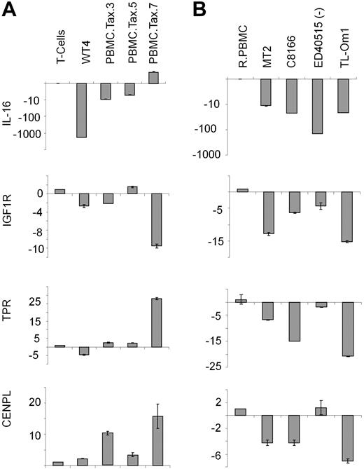Figure 4. WT4 cells display decreased IL-16 and TPR. (A-B) Real-time PCR analysis of IL-16, IGF1R, TPR, and CENPL in Tax-expressing PBMCs (A) or HTLV-1–transformed (MT2 and C8166) or ATL-like (ED40515(−) and TL-Om1) cell lines (B). Nontransduced T cells or resting PBMCs (RPBMCs) served as controls. Real-time PCR was performed in duplicate; error bars represent the CT SD of the gene of interest.