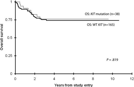 Figure 1. OS for patients with CBF AML with KIT mutations or WT KIT.