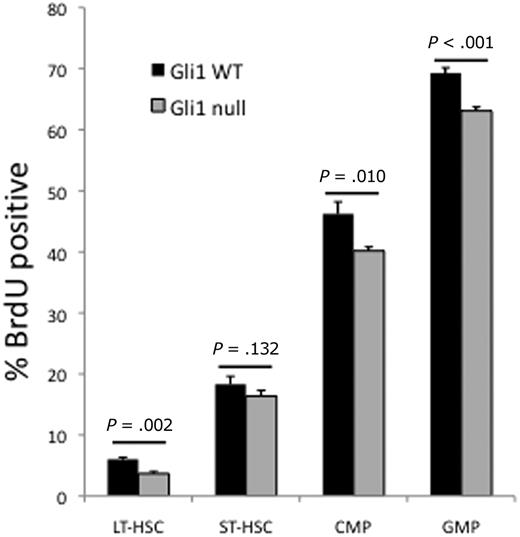Figure 3. HSCs and myeloid progenitors are less proliferative in Gli1null mice. Gli1wt and Gli1null mice were injected with BrdU, to mark actively cycling cells, and bone marrow was harvested at 8 hours, labeled with fluorescent antibodies, permeabilized, and labeled with anti-BrdU antibody. Cells were analyzed by flow cytometry. Data are the mean percentage of BrdU-positive cells for each bone marrow fraction in each genotype. A total of 4 mice in each group were analyzed. P values for each group are indicated.