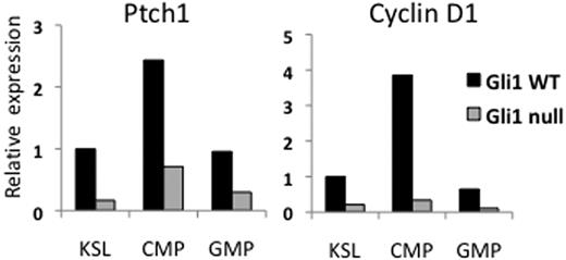 Figure 4. Gli1null cells have lower RNA expression levels of the Hedgehog target genes Patched1 and Cyclin D1. Bone marrow cells were labeled with fluorescent antibodies and sorted by FACS. RNA was extracted from sorted populations, used to generate cDNA, and then used for quantitative PCR of the genes Patched1 (Ptch1) and the cell cycle regulator Cyclin D1. Relative expression is plotted on the vertical axis.