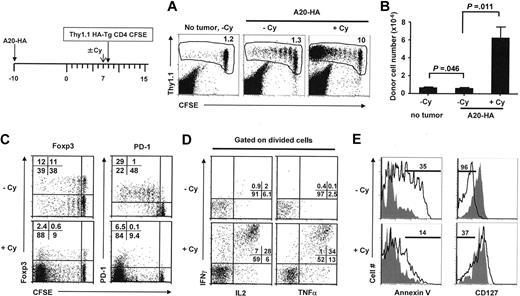 Figure 2. Cy conditioning of the tumor-bearing mice prevents aberrant CD4+ T-cell differentiation and generates activated polyfunctional effector cells. The timeline of the procedure is outlined. On day 17 after tumor inoculation, some mice were treated with 150 mg/kg Cy before receiving T-cell transfer the next day. (A) At 7 days after T-cell transfer, spleen cells were examined for donor cell division status. Numbers indicate the percentage of the donor cells in spleen. (B) Absolute number of donor CD4+ T cells recovered from spleen (total splenocyte count × percent donor CD4+ T cells). Data are from 2 independent experiments and are shown as mean ± SD of at least 4 mice per group. (C) Expression profiles of Foxp3 and PD-1 on donor CD4+ T cells. Numbers indicate the percentage of cells in the corresponding quadrant. (D) Cytokine intracellular staining on divided donor CD4+ T cells. Purified CD4+ T cells were stimulated with HA peptide–pulsed fresh splenocytes for 5 hours before intracellular staining for IL-2, IFN-γ, and TNF-α. Plots shown are gated on the divided donor CD4+ T cells. Numbers represent the percentage of cells in each quadrant in divided donor CD4+ T cells. (E) Annexin V and CD127 (IL-7R) expression profiles on donor CD4+ T cells. Solid curve in each histogram represents divided donor cells, and shaded curve represents undivided donor cells. Numbers indicate percent of the gated population for divided donor cells. Results shown are representative of 3 independent experiments.
