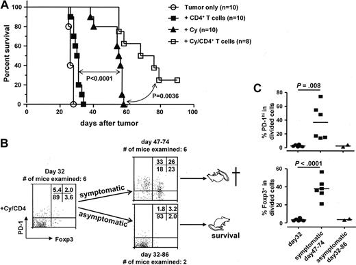 Figure 4. Tumor relapse after chemoimmunotherapy is associated with reacquisition of Foxp3 and PD-1 in CD4+ effector cells. Following the experimental procedure outlined in Figure 2, we monitored mice for survival. (A) The Kaplan-Meier plot depicts overall survival. Results shown are pooled data from 2 independent experiments. The number of mice in each group is shown. (B) Correlation of tumor relapses with up-regulation of PD-1 and Foxp3 in tumor-specific donor CD4+ T cells. At different time points, tail blood samples or spleen cells from the mice treated with combination of Cy and CD4+ T-cell transfer were collected and subjected to FACS analysis. Plots of PD-1 vs Foxp3 are gated on divided donor CD4+ T cells. Plots shown are representative blood sample staining. Numbers indicate the percentage of cells in each quadrant. (C) The results of all samples are presented as percent of PD-1hi cells or percent of Foxp3+ cells in divided donor cells and summarized in scatter plots. Horizontal bars represent mean values.