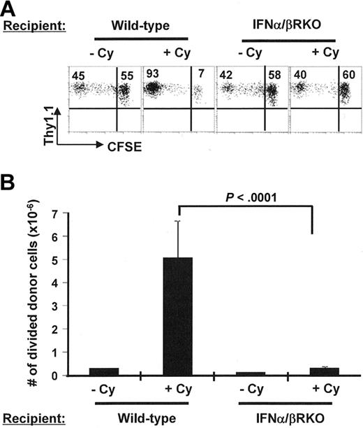 Figure 5. The host response to type I IFN after Cy conditioning is required for enhancing adoptive immunotherapy. Following the same experimental protocol as shown in Figure 2, we treated tumor-bearing wild-type mice or IFN-α/βRKO mice with or without Cy 1 day before adoptive transfer of Tg CD4+ T cells. At 7 days after T-cell transfer, donor cell division status was examined by FACS (A). Numbers in each plot represent the percentage of each individual subset in the donor population. (B) Enumerated number of divided donor cells in spleen (total splenocyte count × percent CFSElow donor cells in spleen). Data are shown as mean ± SD. Data shown are pooled from 2 independent experiments with 5 mice per group.