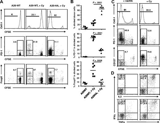 Figure 7. Cy-induced tumor antigen release and host immune milieu change both contribute to optimal effector differentiation of the donor cells. Following the experimental procedure depicted in Figure 2, we treated or did not treat mice with established A20-WT tumors with Cy 1 day before receiving HA-specific CD4+ T-cell transfer. For comparison, a third group of mice with A20-HA tumors were treated with Cy followed by adoptive CD4+ T-cell transfer. (A) Profiles of donor cell division, PD-1 and Foxp3 expression. At 7 days after T-cell transfer, mouse spleen cells were subjected to FACS analysis. The histograms are gated on the donor CD4+ T cells. Numbers in histograms represent the percentage of divided donor cells. The expression profiles of PD-1 vs CFSE and Foxp3 vs CFSE of the donor CD4+ T cells are shown in dot plots. Numbers in plots represent the percentage of PD-1hi or Foxp3+ cells in the divided donor cells (gated) or undivided donor cells for the group with A20-WT tumors but without Cy treatment. Data shown are representative of 2 independent experiments with similar results. (B) Summary of the results shown in panel A. Horizontal bars represent mean values. (C) Phenotype comparison of donor CD4+ T cells in response to vaccinia virus immunization and Cy-conditioning in tumor-bearing mice. Mice with established A20-HA tumors were either immunized with vacHA, or treated with Cy, on day 17 after tumor inoculation, followed by adoptive CD4+ T-cell transfer the next day. At 7 days after T-cell transfer, mouse spleen cells were subjected to the same FACS analyses as in panel A. (D) Cytokine intracellular staining for donor CD4+ T cells from vacHA immunized vs Cy-conditioned A20-HA–bearing mice. Purified CD4+ T cells were stimulated with HA peptide-pulsed fresh splenocytes for 5 hours before ICS. Plots shown are gated on the divided donor CD4+ T cells. The percentage of cells in each quadrant is shown. Results shown in panels C and D are representative of 2 independent experiments with 5 mice per group.