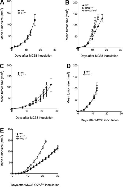 Figure 1. IL-17 does not regulate MC38 tumor growth and metastasis. Groups of 4 to 8 C57BL/6 wild-type (WT), IL-17–deficient (IL-17−/−), RAG-1–deficient (RAG-1−/−) or RAG-2 × γc–deficient (RAG2−/−×γc−/−) mice were inoculated subcutaneously on the flank with (A-B) 1 × 105 MC38s, (C) 1 × 105 MC38a, (D) 1 × 105 MC38b, or (E) 5 × 105 MC38a-OVAdim tumor cells. Tumor size was measured periodically as the product of 2 tumor diameters using a digital caliper square as indicated. Mean tumor size (in mm2) ± SEM is recorded.
