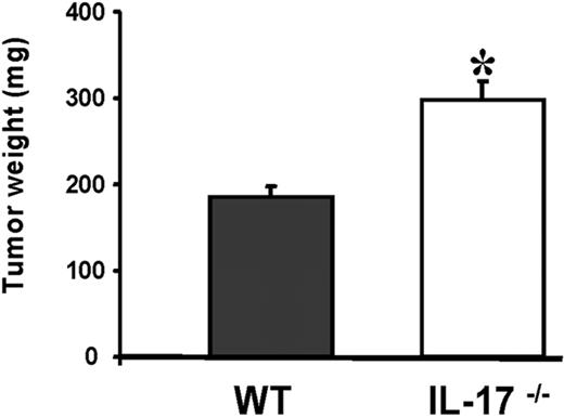 Figure 1. Increased MCA310 tumor growth in IL-17–deficient mice. 3-Methylcholanthrene (MCA)–induced fibrosarcoma MCA310 tumors were maintained in vivo by serial subcutaneous transplantation in C57BL/6 mice. Tumor-cell suspensions were prepared from solid tumors by enzymatic digestion. Wild-type (WT) and IL-17–deficient (IL-17−/−) mice were subcutaneously inoculated with 1.2 × 106 tumor cells in the lower flank. Twelve days after tumor inoculation, tumors were harvested and weighed. Results were expressed as mean ± SEM; 2 independent experiments were performed with 5 animals per experiment per group. *P < .05.