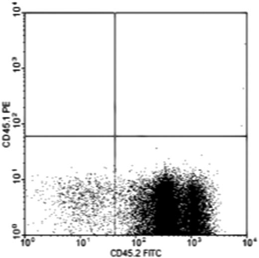 Figure 2. Flow cytometric analysis of peripheral blood and bone marrow of ossicles shows the origin of the ossicle bone marrow. Ossicles were made subcutaneously in CD45.2 mice with BMSCs harvested from CD45.1 mice. No CD45.1 donor type hematopoietic cells were found in either the peripheral blood or ossicle bone marrows during the 16 weeks after the implantation period (n = 5). The chart is a representative analysis of ossicle bone marrow.