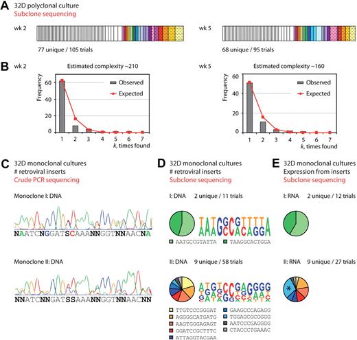 Figure 2. Barcode analysis of polyclonal and monoclonal 32D cell cultures. (A) Tracking the complexity of a polyclonal 32D cell culture over time. Subclone sequencing showed 77 unique barcodes of 105 sequencing trials after 2 weeks of culture, and 68 of 95 after 5 weeks of culture. White bars represent barcodes that were identified at 1 time point only, and colored/patterned bars represent barcodes that were found at both time points. (B) Distribution plots showing the observed and expected barcode frequencies for the 2 time points. Binomial distribution modeling predicts that the barcode complexity in this culture remained complex over time. (C) Crude PCR sequence traces of 2 monoclonal cultures provide an estimate of the total number of retroviral integrations per cell. The sequence trace for monoclone I shows that all variable positions in the barcode are restricted to 1 or 2 nucleotides, suggesting the presence of only 2 integration sites. The sequence trace for monoclone II is more complex, but 1 nucleotide is missing at several of the variable positions. (D) Subclone sequencing identified the unique barcodes that underlie the crude PCR sequence traces. Different barcodes are represented by different colors. Monoclone I contains 2 integrated retroviral vectors per cell, whereas monoclone II contains 9 integrated retroviral vectors per cell. Also shown are the actual barcode sequences identified for both monoclones. The sequence consensus pictograms show how the crude PCR sequence traces in panel B can be reconstructed by combining all identified barcodes in silico. (E) Gene expression analysis identified barcodes that were present at the RNA level. One of 9 barcodes in monoclone II (marked with an asterisk) appears to be overrepresented on the RNA level, but this finding does not reach statistical significance. Note that identical barcodes in panels D and E of this figure are represented with matching colors.