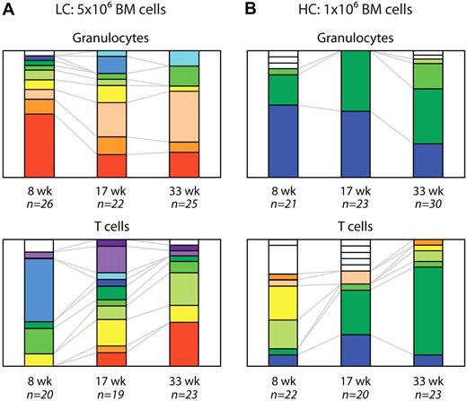 Figure 4. Clonal dynamics of in vivo hematopoiesis. Clonal composition of peripheral blood granulocytes and T cells over time in one recipient that received a transplant with 5 × 106 LC-barcoded BM cells (A) and a second recipient that received a transplant with 106 HC-barcoded cells (B). White bars represent barcodes that were found in only 1 cell type and time point, and colored bars represent barcodes that were found in both cell types and/or multiple time points.