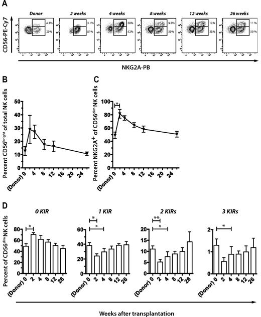 Figure 2. Reconstitution of NK-cell repertoires during the first 6 months after T cell–replete HLA-identical sibling SCT. (A) Representative example of FACS staining and gating strategy to assess frequencies of CD56bright NK cells and expression of NKG2A in the donor and at multiple time points after SCT. Percentage of (B) CD56bright NK cells and (C) NKG2A+ CD56dim NK cells in the donor before SCT and in the recipient at the indicated time points after SCT. (D) Frequencies of CD56dim NK cells expressing 0 to 3 KIRs in the donor and at the indicated time points after SCT. Mean values of 7 donor-recipient pairs are depicted. All error bars represent SEM.