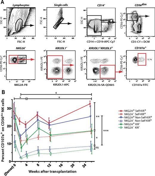 Figure 3. Maintained tolerance of NK cells expressing inhibitory KIR for nonself HLA class I ligands. (A) Gating scheme for analysis of CD107a on NK-cell subsets expressing KIR2DL1, KIR2DL3, KIR3DL1, and/or NKG2A after stimulation with K562 cells. Double events, CD14+, CD3+, and dead cells were excluded. Boolean gating of CD56dim NK cells with and without NKG2A and expressing combinations of KIRs and CD107a was performed by FlowJo software. (B) Shown are functional responses of CD56dim NK cells expressing self or nonself KIRs with or without NKG2A in the donor before SCT, and in the recipient at the indicated time points during the immune reconstitution. Self and nonself KIR refers to the presence or absence, respectively, of the corresponding ligand in the host. Mean values of 6 donor-recipient pairs are shown. Error bars represent SEM.