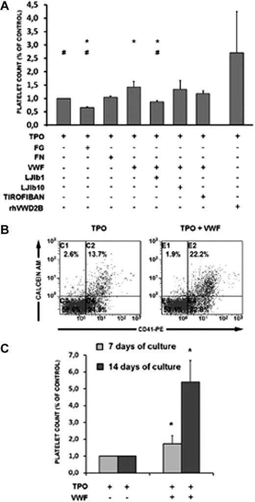 Figure 4. Platelet production from HD CD34+ cell cultures. Relative number of platelets at day 7 of treatment with TPO or TPO and VWF (A). The effects of fibrinogen (FG) and fibronectin (FN) and different inhibitors on platelet production in the presence or absence of VWF is shown. The number of platelets was calculated by flow cytometry on a CD41+/calcein am+-labeled population; a representative dot plot is shown (B) analyzed in combination with a known number of calibration beads. (C) Time-course kinetics of platelet production after 7 and 14 days of treatment with TPO (control) or TPO and VWF. Data from 4 independent experiments are shown. The statistical analyses according to Bonferroni test were grouped as follows: In Group 1, samples from A to G were all calculated against A. In this group, only sample D showed statistical significance (means ± SD; *P < .05 vs TPO treatment); VWF promotes platelet production. In Group 2, samples from A to G were all calculated against D. In this group, samples A, B, and E were significantly different; GPIba inhibition selectively counteracts VWF stimulation (means ± SD; #P < .05 vs TPO and VWF treatment). In Group 3, samples A, D, and H were all calculated against A and D. In this group, the sample H showed statistical significance; recombinant mutated VWF strongly promotes platelet production from normal CD34+ cells (means ± SD; *P < .05 vs TPO treatment; #P < .05 versus TPO and VWF treatment).