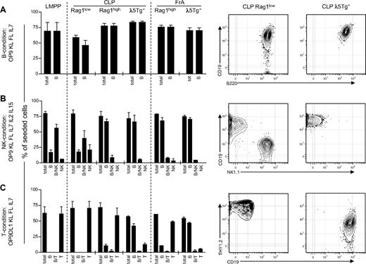 Figure 2. Reporter gene expression allows for the identification of functionally distinct populations. (A-C) Cloning frequency of seeded single cells (left), and FACS plots from representative clones generated from single Rag1low or λ5Tg+ CLPs (right). Single cells were sorted directly into the cultures based on the expression of surface markers and reporter genes. LMPPs were sorted as LIN−/lowSCA1highKIThighFLT3high, whereas CLP (Rag1low, Rag1high, and λ5Tg+) and FrA (Rag1high and λ5Tg+) subpopulations were sorted as shown in Figure 1A. (A) Data from cocultures of single-sorted cells on OP9 stroma cells under B cell–promoting conditions. Bars represent total frequency of clones and frequency of clones containing CD19+ B cells (B). (B) Data from cocultures of single-sorted cells on OP9 stroma cells under conditions promoting NK-cell development. Bars represent the total frequency of clones as well as the frequency of clones containing only CD19+ B-lineage cells (B), NK1.1+ and CD19+ cells (B/NK), or only NK1.1+ cells (NK). (C) Data from cocultures of single-sorted cells on OP9DL1 stroma cells to stimulate the development of THY1.2+ T-lineage cells. Bars represent total cloning frequency, the frequency of clones with only CD19+ cells (B), THY1.2 and CD19+ cells (B/T), or only THY1.2+ (T). Data in graphs represent average (range) from 2 independent experiments analyzing approximately 96 seeded cells.