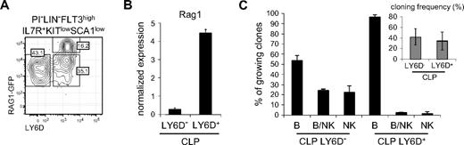Figure 5. The majority of the Rag1high cells express the surface marker LY6D. (A) Representative FACS plots showing Rag1-GFP and LY6D expression in LIN−FLT3+IL-7R+SCA1lowKITlow CLP/FrA cells. Numbers indicate percentage of gated cells. LIN include: GR1, CD11B, CD3ϵ, TER119, NK1.1, CD19, and CD11C. (B) Rag1 quantitative RT-PCR data generated from sorted LY6D+ and LY6D− CLPs. The data are presented as relative expression values normalized to Hprt1 expression levels, and data are collected from 3 quantitative PCR reactions. (C) Distribution of B-, B/NK-, and NK-cell containing clones generated from single LIN−FLT3+IL-7R+SCA1lowKITlow LY6D+/− CLPs as indicated. The imbedded small diagram indicates total cloning frequency. The data are collected from 2 independent experiments, and the error bars represent variation between experiments. For sorting of LY6D+/− CLPs, LIN include: GR1, CD11B, CD3ϵ, TER119, NK1.1, CD19, CD11C, and B220.