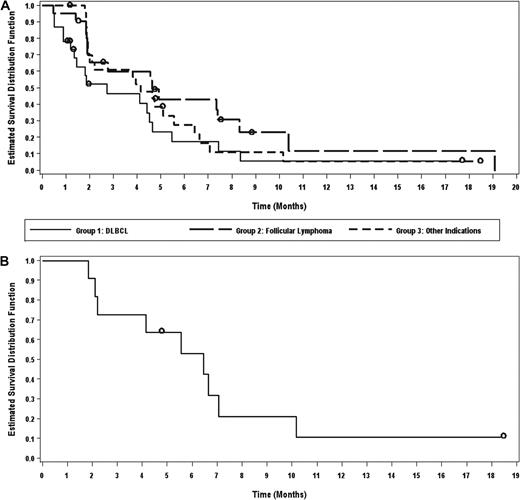 Figure 1. Progression-free survival. PFS by cohort (A) and of patients with SLL/CLL (B).