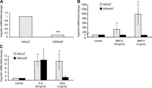 Figure 3. Smad7 overexpression inhibits steady-state hepcidin expression and abrogates the hepcidin response to BMP and TGF-β. (A) Smad7 overexpression under control and (B-C) stimulatory conditions. Primary murine hepatocytes were transduced with adenoviral vectors expressing Smad7 (AdSmad7) or β-galactosidase (AdLacZ) as a control. Forty-eight hours later, the cells were treated with IL-6 (20 ng/mL, 24 hours), BMP-6 (50 ng/mL, 24 hours), BMP-9 (5 ng/mL, 24 hours), or TGF-β (5 ng/mL, 6 hours) and harvested for the isolation of total RNA. Hepcidin mRNA levels were determined by quantitative real-time PCR and normalized to Gapdh mRNA expression. (A) Under control conditions results are presented as fold change (± SD) compared with samples transduced with control AdLacZ vectors. (B-C) Under stimulatory condition results are presented as fold change (± SD) compared with untreated cells. Results represent a mean of 4 independent experiments. Significant changes are marked by *(P < .05) or ***(P < .001).