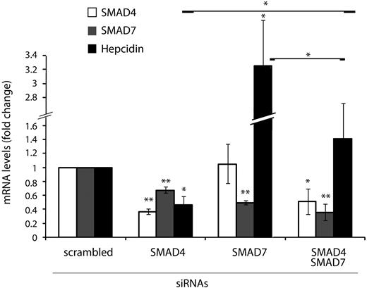 Figure 4. SMAD7 and SMAD4 antagonistically control hepcidin mRNA expression. Huh7 cells were transfected with siRNAs targeting SMAD4, SMAD7, or SMAD4 and SMAD7 or a scrambled siRNA as a control. Seventy-two hours after siRNA transfection, total RNA was isolated. SMAD4, SMAD7, and hepcidin mRNA levels were determined by quantitative real-time PCR analysis and normalized to the housekeeping gene GAPDH. Results are presented as fold change (± SD) compared with samples transfected with control siRNA. The mean of 3 independent experiments is shown. Significant changes are marked by *(P < .05) or **(P < .005).