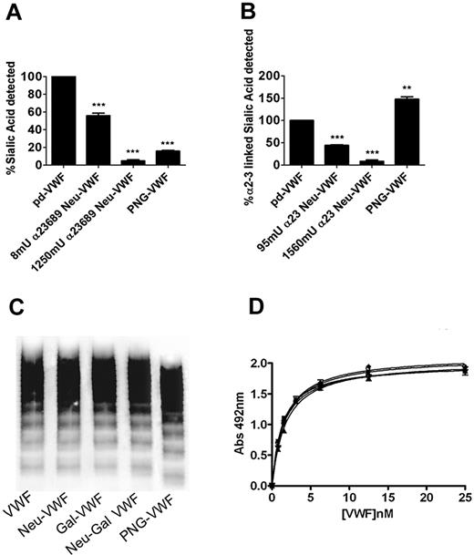 Figure 1. Characterization of neuraminidase-treated VWF. (A) Purified human VWF was incubated overnight with either α2-3,6,8,9 neuraminidase or PNGase F, and residual expression of α2-3,6–linked sialic acid on VWF was analyzed by modified S nigra lectin binding ELISA as described in “Methods.” All experiments were performed in triplicate, and results described represent the means ± SEM (**P < .001 and ***P < .001 in comparison to WT-VWF, respectively). (B) VWF was treated with either α2-3 neuraminidase or PNGase F, and residual expression of α2-3–linked sialic acid was analyzed by modified Maackia amurensis lectin ELISA. After treatment with either PNGase F, α2-3,6,8,9 neuraminidase, β1-3,4 galactosidase, or both neuraminidase and β-galactosidase, the multimeric structure of VWF was assessed by agarose gel electrophoresis in 1.8% gels under nonreducing conditions (C) or collagen binding activity (D).
