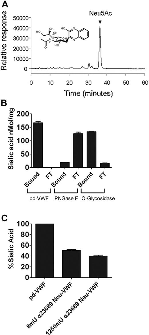 Figure 3. Quantification of VWF sialic acid expression with HPLC. (A) Reverse-phase HPLC analysis was used to quantify sialic acid expression on purified pd-VWF. A sample chromatograph of liberated sialic acid from bovine fetuin is represented. Hydrolyzed sialic acid (Neu5Ac) was labeled with OPD, and a baseline-resolved peak representing Neu5Ac, with a retention time of 36.3 minutes, was observed. A structural representation of Neu5Ac derivatized with OPD is shown. (B) To determine relative quantitative sialic acid expression on the N- and O-linked carbohydrate structures of VWF, HPLC analysis of residual VWF-bound sialic acid and free (flow-through, FT) was performed on digestion with either PNGase F or O-glycosidase, respectively. Bound sialic acid refers to sialic acid still intact on the glycans of VWF after digestion with a specific glycosidase; FT refers to liberated sialic acid that has been removed from VWF after glycosidase treatment. (C) Purified human VWF was incubated overnight with various concentrations of α2-3,6,8,9 neuraminidase as before, and residual α2-3,6–linked sialic acid expression on VWF was analyzed by HPLC.