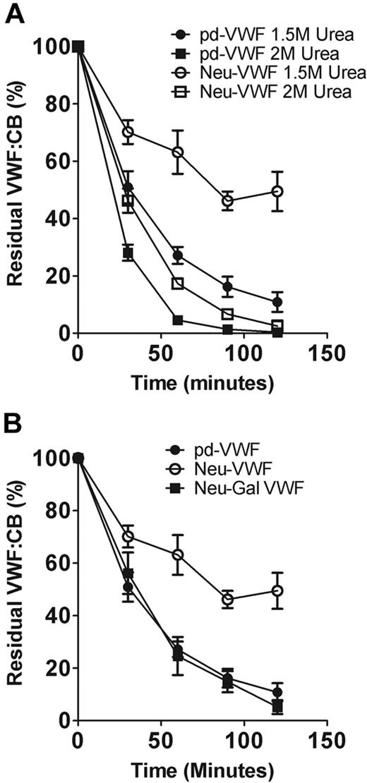 Figure 5. α2-6–linked sialic acid enhances ADAMTS13 proteolysis by reducing exposure of subterminal D-galactose. (A) The effects of α2-3,6,8,9 neuraminidase treatment in regulating VWF susceptibility to ADAMTS13 proteolysis were investigated at different urea concentrations. At 2M urea, the rate of VWF proteolysis was significantly increased for both pd-VWF and Neu-VWF compared with 1.5M urea. However, the resistant phenotype of Neu-VWF became less apparent at the higher concentration of urea. (B) Removal of capping α2-6–linked sialic acid from the N-linked glycans of VWF results in exposure of penultimate D-galactose residues. To determine whether the protective effect of α2-3,6,8,9 neuraminidase treatment was mediated through loss of sialic acid or was attributable to the subsequent increased galactose exposure, we studied the effects of combined α2-3,6,8,9 neuraminidase and β-galactosidase digestion. After combined glycosidase digestion, the protective effect of loss of α2-6–linked sialic acid only was no longer observed.