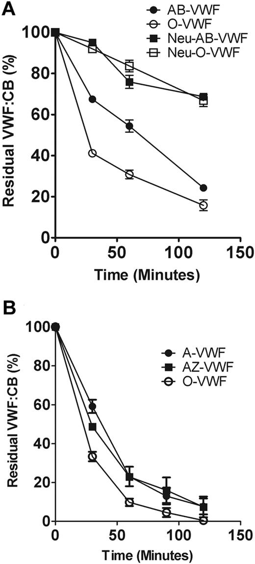 Figure 6. Relative importance of N-linked sialic acid and ABO blood group antigens in determining VWF proteolysis by ADAMTS13. (A) To investigate the effect of sialic acid removal on the cleavage of blood group–specific VWF, purified O or AB VWF was incubated with or without neuraminidase and then subjected to ADAMTS13 proteolysis in the presence of 1.5M urea. Rate of VWF cleavage was assessed by determining the decrease in VWF:CB over time. Results are expressed as residual collagen-binding activity (mean ± SEM). (B) To determine whether loss of the A antigenic carbohydrate structure from blood group A VWF (A-VWF) affects susceptibility to ADAMTS13 proteolysis, A-VWF was digested with A-Zyme (N-acetyl-galactosaminidase), and ADAMTS13 cleavage assay was carried out as before. A-VWF– and A-Zyme–treated VWF (AZ-VWF) were cleaved at the same rate by ADAMTS13, and both were cleaved significantly more slowly than O-VWF (P < .05).