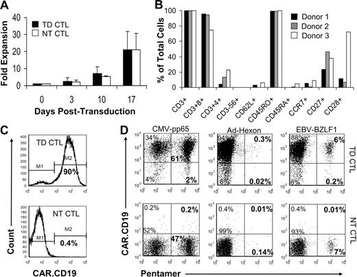 Figure 1. Expansion and phenotype of PB-derived MV-CTLs genetically modified to express CAR.CD19. (A) Fold expansion of PB-derived CAR.CD19+ MV-CTLs compared with nontransduced control MV-CTLs. Fold expansion = total cell count at time point indicated divided by cell count at transduction. Means and SDs from 3 experiments are shown. (B) Phenotype of 3 CAR.CD19+ MV-CTLs at time of harvest. Percentage of total cells positive for each marker is shown. (C) CAR expression at completion of culture period in transduced MV-CTLs (top histogram) compared with nontransduced controls (bottom histogram). Representative plots from 1 of 3 experiments shown. (D) Coexpression of CAR.CD19 by CMV-pp65–, AdV-Hexon–, and EBV-BZLF1–specific CD8+ CTLs as detected by pentamer staining. Top 3 plots show CAR.CD19+ CTLs; bottom 3 plots show nontransduced CTLs for comparison. Sample plots from 1 of 3 experiments shown. TD CTLs indicates transduced cytotoxic T lymphocytes; and NT CTLs, nontransduced cytotoxic T lymphocytes.