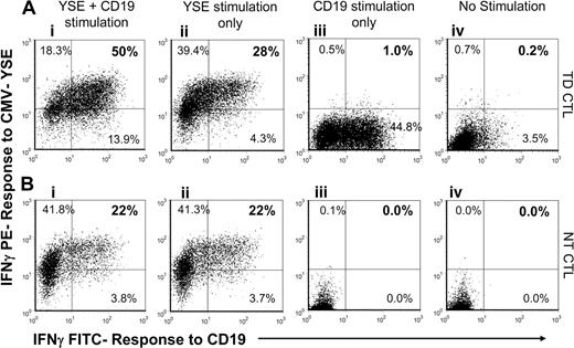 Figure 4. Serial stimulation of individual CTLs through native αβTCR and CAR.CD19. (A) Secretion of IFNγ by CAR.CD19+ MV-CTLs in response to stimulation with YSE peptide (y-axis) and CD19+ K562 cells (x-axis). (i) CTLs stimulated with both YSE and CD19. (ii) CTLs stimulated with YSE alone. (iii) CTLs stimulated with CD19 alone. (iv) CTLs stimulated with neither YSE nor CD19. (B) Secretion of IFNγ by nontransduced MV-CTLs in response to stimulation with YSE peptide (y-axis) and CD19+ K562 cells (x-axis). (i) CTLs stimulated with both YSE and CD19. (ii) CTLs stimulated with YSE alone. (iii) CTLs stimulated with CD19 alone. (iv) CTLs stimulated with neither YSE nor CD19. TD CTLs indicates transduced cytotoxic T lymphocytes; and NT CTLs, nontransduced cytotoxic T lymphocytes.
