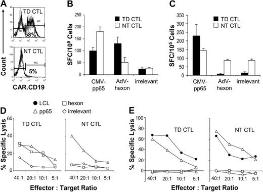 Figure 5. Antiviral function of CB-derived MV-CTLs. (A) Expression of CAR.CD19 in transduced (top histogram) compared with nontransduced (bottom histogram) CB-derived MV-CTLs 1 week after transduction. (B-C) IFNγ production by CAR.CD19+ CB-derived MV-CTLs compared with nontransduced CTLs in response to CMV-pp65 and AdV-hexon pepmixes as measured by ELISPOT assay for 2 of the CB donors. (D-E) Specific lysis of CMV-pp65, AdV-hexon, and irrelevant pepmix-pulsed autologous PHA blasts, and autologous EBV+ CD19+ LCLs by CAR-transduced (left graphs for each panel) and NT (right graphs for each panel) CB-derived MV-CTLs at the indicated E/T ratios measured by 51Cr-release assay for 2 representative donors. TD CTLs indicates transduced cytotoxic T lymphocytes; and NT CTLs, nontransduced cytotoxic T lymphocytes.
