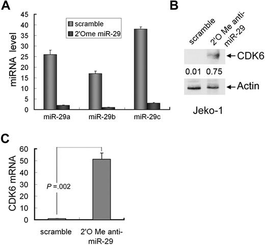 Figure 5. Knockdown of miR-29 induces CDK6 expression. (A) Quantitative RT-PCR analysis of expression of miR-29a/b/c in Jeko-1 cells that were treated with 2′O-me anti-pan-miR-29 or scramble oligonucleotides. CDK6 protein (B) and mRNA (C) levels were elevated in miR-29-knockdown cells. Error bars represent SD.