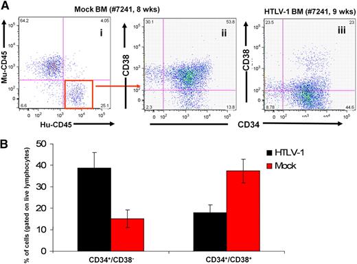 Figure 3. Hyperproliferation of infected HSCs in the BM of HTLV-1-HU-NOD/SCID mice. (A) Predominance of CD34+/CD38− human stem cell subpopulation among human lymphocytes in the BM of the HTLV-1-HU-NOD/SCID mouse (iii) in comparison with mock-infected HU-NOD/SCID mouse (ii) when gated on human CD45 subpopulation (i). (B) Cumulative quantization of CD34+/CD38− and CD34+/CD38+ subpopulations in BM of HTLV-1 infected (n = 7) and mock-infected HU-NOD/SCID mice (n = 8).
