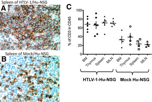 Figure 5. Hyperproliferation of CD3+ T cells in HTLV-1/HU-NSG mice. Representative histologic analysis of the spleen of HTLV-1/HU-NSG mice and mock HU-NSG mice killed 14 weeks after reconstitution. (A-B) Immunohistochemical analysis of human CD3 expression in the spleen of HTLV-1-HU-NSG mice in comparison with mock-infected HU-NSG mice (×40 magnification). (C) Quantification of hyperproliferation of CD3+ T cells in the BM, thymus, spleen, and MLN of HTLV-1-HU-NSG mice in comparison with mock mice reconstituted with the same donor CD34+ cell preparation (HTLV-1, n = 6; mock, n = 4).