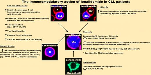 Lenalidomide (Revlimid) repairs and reverses cellular and humoral immune dysfunction in CLL. This agent enhances autologous T-cell immunologic synapse formation and functional activity (repairs impaired T-cell actin cytoskeletal signaling). NK-mediated antibody-dependent cellular cytotoxicity of rituximab-treated CLL cells is enhanced by preincubation of NK cells with lenalidomide before exposure to rituximab-exposed CLL cells. Lenalidomide enhances APC function of CLL cells (up-regulation of costimulatory molecules). Exposure of drug increases functional surface CD154 expression on CLL cells, inducing a CD154 gene therapy activation phenotype. Importantly, lenalidomide-induced CD154-positive CLL cells promote antibody (IgM and IgG) production by normal B cells. The immunomodulatory effect of lenalidomide on stromal cells, nurse-like cells, and angiogenic status remains to be fully elucidated.