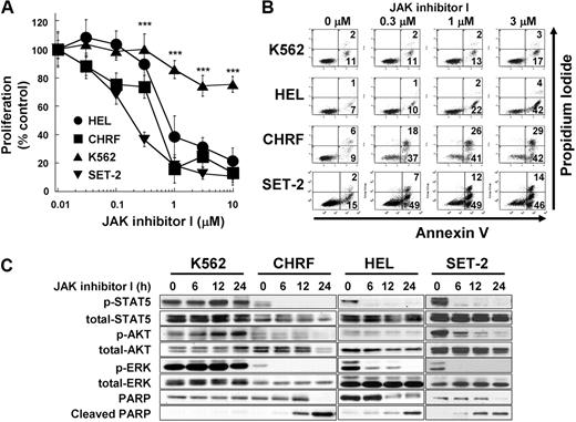 Figure 1. JAK2 inhibition induces growth inhibition and apoptosis in cells with mutated JAK2. (A) Dose-dependent growth inhibition detected by 3-(4,5 dimethylthiazol-2-yl)-5-(3-carboxymethoxyphenyl-2-(4-sulfophenyl)-2H-tetrazolium assay. HEL cells (HEL), SET-2 cells (SET-2), CHRF 288-11 cells (CHRF), and K562 cells (K562) were plated in 96-well plates and treated with increasing doses of JAK inhibitor I (range, 0-10μM) for 48 hours. Data are mean ± SD of at least 4 independent experiments comparing the JAK2 mutated cell lines with the bcr-abl+ cell line K562. JAK2 mutated cell lines versus K562 cells: ***P < .001. (B) Annexin V apoptosis assay. The cells were treated with increasing JAK inhibitor I concentrations (0, 0.3, 1, and 3μM) for 24 hours. Then, cells were harvested, stained with for annexin V and propidium iodide, and analyzed. Data are results from a representative experiment repeated 3 times with similar results. (C) Modulation of signaling after JAK inhibitor I treatment in HEL cells. The cells were treated with 3μM JAK inhibitor I for 0, 6, 12, and 24 hours. Cells were harvested, and extracts were analyzed by Western blotting.