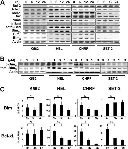Figure 2. Bim is up-regulated during JAK2 inhibition-induced apoptosis in cells harboring activating JAK2 mutations. (A) Western blot analysis of bcl-2 family proteins. The cells were treated with 3μM JAK inhibitor I for 0, 6, 12, and 24 hours. (B) Dose-response of the JAK inhibitor I on phosphorylation of Bim. The cells were treated with JAK inhibitor I as indicated for 6 hours. (C) Real-time PCR analysis. The cells were treated with 3μM JAK inhibitor I for 0, 3, and 6 hours. Then, cells were harvested, total RNA was extracted, and mRNA levels were assessed by real-time PCR. The mRNA levels were normalized to those of GAPDH using the comparative threshold cycle method. Data are mean ± SD of GAPDH-normalized mRNA expression of 3 independent experiments. Error bars represent SD. *P < .05. **P < .01. N indicates not significant.