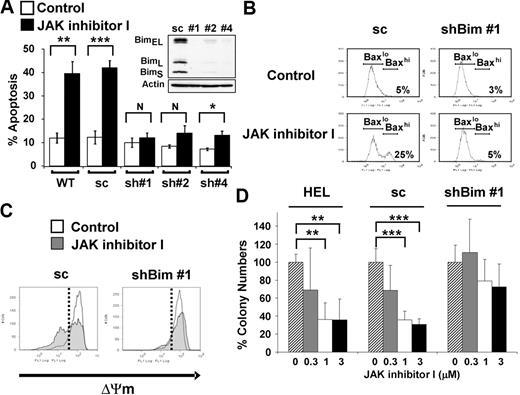 Figure 4. Knockdown of Bim expression leads to attenuation of apoptosis induced by JAK2 inhibition. (A) Annexin V apoptosis assay. WT HEL cells and HEL cells stably transfected with vector constitutively expressing either scrambled (pSuper-bim75, 1 stably transfected clone analyzed: sc) or shRNA sequences targeting Bim (pSuper-bim73; 3 stably transfected clones analyzed: sh#1, sh#2, sh#4) were treated with either DMSO or 3μM of JAK inhibitor I for 24 hours. Data are mean ± SD of annexin V+ cells from 5 independent experiments. Error bars represent SD. *P < .05. **P < .01. ***P < .001. N indicates not significant. (Inset) Expression analysis of knockdown of all isoforms of Bim (BimEL, BimL, BimS) in shBim #1, shBim #2, and shBim #4 cells compared with scrambled shRNA (sc) transfected cells by Western blot. (B) Flow cytometric analysis for Bax activation. The HEL cells stably transfected with shRNA targeting Bim (clone: shBim #1) or scrambled shRNA (sc) were treated with or without 3μM JAK inhibitor I for 18 hours. Data are results from a representative experiment repeated 3 times with similar results. (C) Flow cytometric analysis of the inner mitochondrial membrane potential (ΔΨm) breakdown. The HEL cells stably transfected with vectors constitutively expressing either shRNA targeting Bim (clone: shBim #1) or scrambled shRNA (sc) were treated with or without 3μM JAK inhibitor I for 24 hours. Data are results from a representative experiment repeated 3 times with similar results. (D) Colony-forming assay. The parental HEL cells (HEL), the HEL cells stably transfected with shRNA targeting Bim (clone: shBim #1; shBim), and scrambled shRNA (sc) were pretreated with JAK inhibitor I and plated in human MethoCult H4230. Data are mean plus or minus SD of colony numbers expressed as percentage of DMSO-treated cultures. Error bars represent SD (n = 3). **P < .01. ***P < .001.