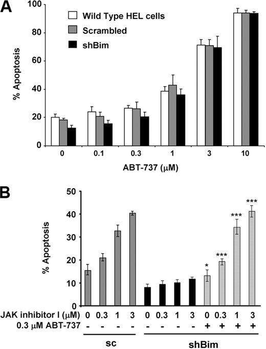 Figure 5. ABT-737 reverses resistance to apoptosis caused by Bim knockdown. (A) WT HEL cells (open bars) and HEL cells stably transfected with vectors constitutively expressing either scrambled (pSuper-bim75; 1 stably transfected clone analyzed: Scrambled; gray bars) or shRNA sequences targeting Bim (pSuper-bim73, clone #1: shBim; black bars) were treated with increasing doses of ABT-737 for 24 hours. Apoptosis was assessed by an annexin V assay. Data are mean ± SD of annexin V+ cells. Error bars represent SD (n = 3). (B) HEL cells stably transfected with pSuper-bim73 constitutively expressing scrambled shRNA (sc) were treated with increasing doses of JAK inhibitor I in the absence of ABT-737 (gray bars). HEL cells stably transfected with pSuper-bim75 (clone #1), constitutively expressing shRNA targeting Bim (shBim), were treated with increasing doses of JAK inhibitor I in the absence (black bars) or presence (hatched bars) of 0.3μM ABT-737 for 24 hours. Apoptosis was assessed by an annexin V assay. Data are mean ± SD of annexin V+ cells. Error bars represent SD (n = 3). JAK inhibitor alone versus JAK inhibitor I and ABT-737: *P < .05, ***P < .001.