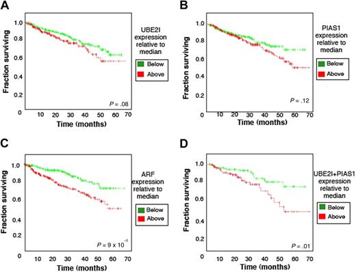 Figure 3. Overall survival plots for sumoylation pathway components. Kaplan-Meier plots represent 6-year overall survival for MM patients treated with high-dose chemotherapy and stem cell transplantation. Plots indicated the survival of those with indicated gene expression either above or below the median. A total of 551 patients were included in the analyses in (A) with UBE2I, (B) with PIAS1, or (C) with ARF. A total of 350 patients were analyzed (D) with 175 patients having expression of both UBE2I and PIAS1 genes above the median and 175 patients below the median.