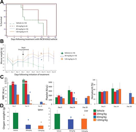 Figure 2. Phenotypic characteristics of hMPLW515L mice treated with vehicle versus INCB16562 at varying doses over time. (A)Treatment with INCB16562 resulted in significant increase in survival at 60 mg/kg and 120 mg/kg doses compared with vehicle as shown by Kaplan-Meier survival curve (P < .001, log-rank test). (B) Mice treated with INCB16562 regained weight lost after tail vein injections compared with vehicle-treated mice, which continued to lose weight. This difference in weights were statistically significant starting at 17 days of treatment with 120 mg/kg per day (P = .007, Mann-Whitney U test) and after 18 days of treatment with 60 mg/kg per day (P = .004, Mann-Whitney U test). (C) Measurement of hematologic parameters at various time points in INCB16562 treatment reveal significant improvement in WBC and platelet counts with 60 mg/kg and 120 mg/kg of INCB16562 at day 14 after treatment initiation. (D) Treatment with INCB16562 resulted in decreased hepatosplenomegaly as measured in organ weight at 12 days of treatment. *P < .05 compared with vehicle-treated mice. (B-D) Error bars denote SD.
