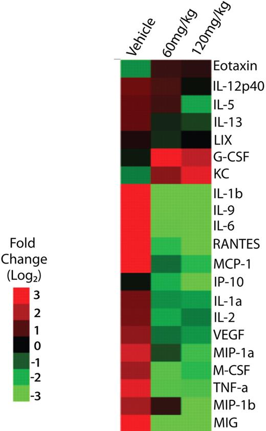 Figure 4. Effect of INCB16562 treatment on serum cytokine levels in hMPLW515L mice. Displayed are log2 fold changes in serum cytokine levels in vehicle-treated hMPLW515L mice after 9 days of treatment compared with levels in normal BALB/c mice as well as serum cytokine levels in hMPLW515L in mice treated with 9 days of 60 mg/kg or 120 mg/kg INCB16562 relative to vehicle-treated mice. Treatment with INCB16562 led to a greater than 2 log2–fold decrease in inflammatory cytokines such as IL-1β, IL-9, IL-6, and TNF-α.