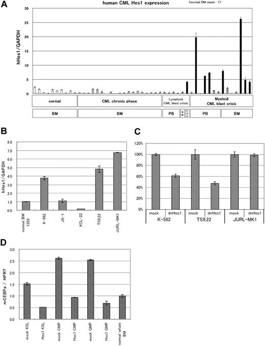 Figure 6. Hes1 expression was elevated in approximately 40% of patients with CML in blast crisis. (A) Real-time RT-PCR for Hes1 in bone marrow or peripheral blood cells from healthy subjects, patients with CML in chronic phase, or patients with CML in blast crisis. Expression levels were normalized by GAPDH mRNA. RNA from normal bone marrow cells served as a control (mean of 10 RNA levels of normal bone marrow was defined as 1). Hes1 mRNA levels exceeded 4 (solid bar) in 8 of 20 samples from CML in blast crisis patients. The correlation coefficient determined by the Wilcoxon signed-rank test between blast ratio and Hes1-expression level was −0.395. PB indicates peripheral blood; BM, bone marrow; CSF, cerebrospinal fluid. The solid bar represents CML in blast crisis exceeding 4; the hatched bar represents CML in blast crisis less than 4. (B) Hes1 expression in 5 human CML blast crisis cell lines. Expression levels of HES1 in K-562, JK-1, KCL-22, TS9:22, and JURL-MK1 were evaluated by real-time RT-PCR and were normalized by GAPDH mRNA. (C) Growth repression by transduction of dnHes1 (a dominant-negative Hes1) retrovirus vector into 3 human cell lines (K-562, TS9:22, and JURL-MK1). Six days after retrovirus transduction, cell numbers were counted. Growth is shown as a percentage of the control cells that were transduced with control vector. A representative result from 2 independent and reproducible experiments is shown. Error bars represent the SD from duplicate cultures. (D) Real-time RT-PCR for C/EBP-α in Hes1-transduced KSLs, CMPs, and GMPs compared with control vector-transduced KSLs, CMPs and GMPs. Total RNA was extracted at 60 hours from the initiation of Hes1-transduction. Error bars represent the SD from 2 independent experiments in (A-B,D).