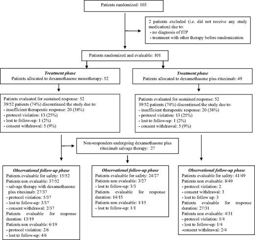 Figure 1. Consolidated Standards of Reporting Trials (CONSORT) flow diagram of progress through the study phases.