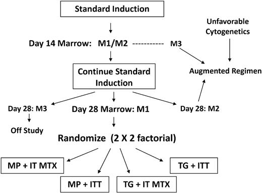 Figure 2. Study schema for CCG-1952. Randomization was performed at the completion of standard induction. Patients with M1 marrow status at day 7 did not require a day-14 sample.
