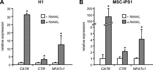 Figure 7. Quantitative PCR analysis of osteoclast marker genes. RANKL-dependent expression of osteoclast marker genes in cultures of H1-derived (A) and MSC-iPS1–derived (B) precursors. Cells from day 21 EB cultures were seeded at 105 cells/96-mm well on dentine slices in the absence or presence of RANKL as indicated and harvested 14 days later for RNA isolation and analysis of the osteoclast marker genes cathepsin K (CATK), calcitonin receptor (CTR), and NFATc1 by quantitative reverse-transcription PCR. The data represent the mean ± SD of 3 to 6 wells. *P < .05.