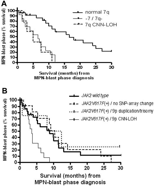 Figure 6. Survival analysis in MPN-blast phase. (A) Survival from the time of diagnosis of blast phase in transformed MPN patients with normal chromosome 7 (normal 7q) compared with either monosomy 7 (−7)/deletion of 7q (7q−) or 7qCNN-LOH. (B) Survival from the time of diagnosis of blast phase in transformed MPN patients with homozygous JAK2V617F+ associated with 9pCNN-LOH compared with either heterozygous JAK2V617F+ with 9p duplication/trisomy 9 or no abnormality, or patients without the mutation (JAK2 wild type). Median survival (months) and the case numbers for each group (transformed PV, ET, or PMF) are listed in supplemental Table 5.