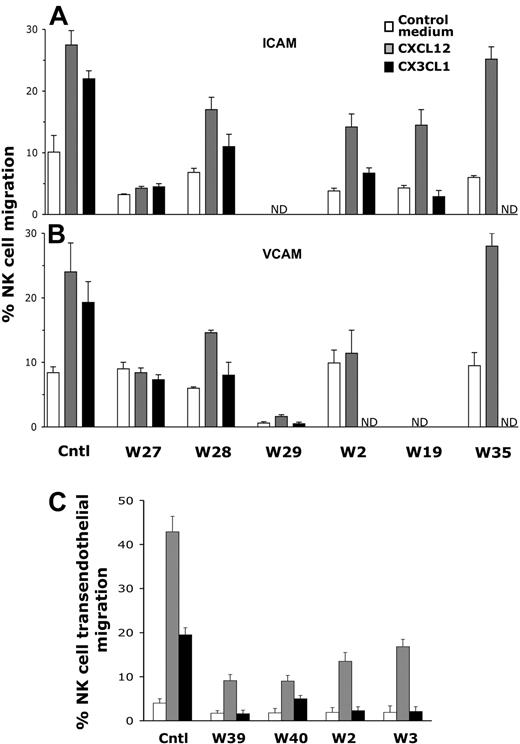 Figure 1. NK-cell migration in response to chemokines is impaired in patients with XLT and patients with WAS. (A-B) Cultured NK cells from healthy donors or patients with WAS/XLT (W27, W28, W29, W19, W35) or highly purified freshly isolated W2 NK cells were assayed for their ability to migrate through ICAM-1 (5 μg/mL)–, or VCAM-1 (5 μg/mL)–precoated polycarbonate filters using CX3CL1/fractalkine (1nM) or CXCL12/SDF-1 (10nM) as chemoattractants. (C) Freshly isolated PBMCs from healthy donors or patients with WAS/XLT were allowed to migrate through a monolayer of TNFα (10 ng/mL)–activated endothelial cells on transwell filters in response to CXCL12/SDF-1 (1nM) or CX3CL1/fractalkine (1nM). After 1 hour of incubation, the number of migrated PBMCs was evaluated by FACS; the percentage of CD56+CD3− NK cells in input and migrated cells was assessed by immunofluorescence and FACS analysis. The percentage of migrated NK cells was calculated as follows: number of migrated NK cells/number of input NK cells × 100. Data from patients with WAS/XLT are expressed as the mean ± SD of the percentage of migrated cells obtained from 2 independent determinations. Control (Cntl) value represent the mean ± SD of the percentage of NK-cell migration obtained from 6 (A-B) or 4 healthy donors (C). ND indicates not determined. Statistical analysis performed by Student t test comparing the mean percentage of XLT/WAS NK-cell migration with that of control donors indicates that the inhibition of migration observed in all patients with WAS/XLT except for W35 is statistically significant (P < .02).