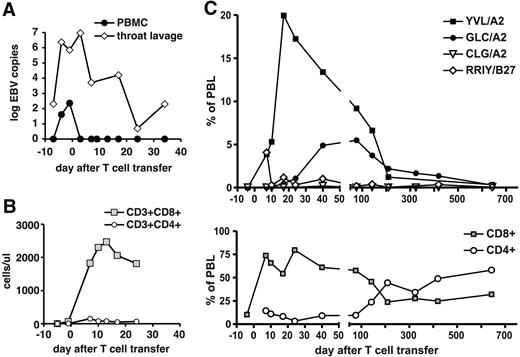 Figure 3. Expansion of EBV-specific T cells in patient 2 after T-cell transfer. (A) EBV DNA levels in peripheral blood cells (copies per 20 000 cells) and in throat lavage fluid (copies per milliliter). (B) Absolute numbers of CD8+ and CD4+ T-cell subsets in peripheral blood. (C) Frequencies of CD8+ T cells specific for EBV epitopes in total PBLs were assessed by HLA-peptide multimer staining. Immediate-early and early lytic cycle antigens (epitopes YVL and GLC) and latent antigens (epitopes CLG and RRIY) were included in the analysis.